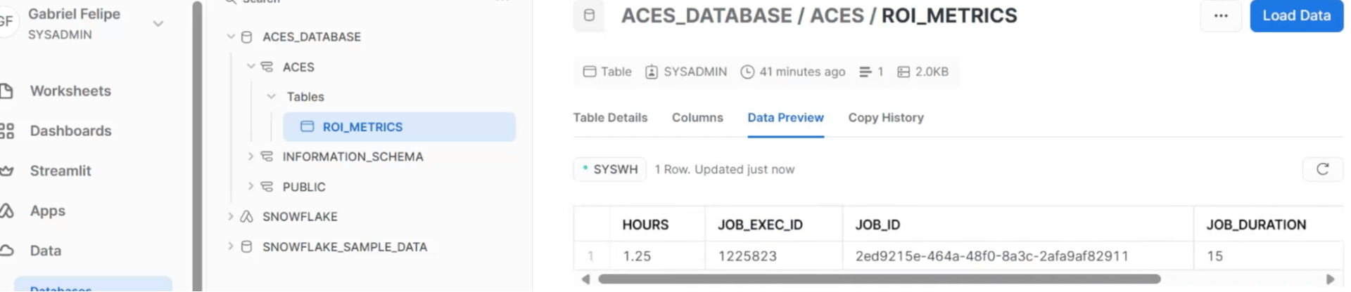 ROI Metric Data output